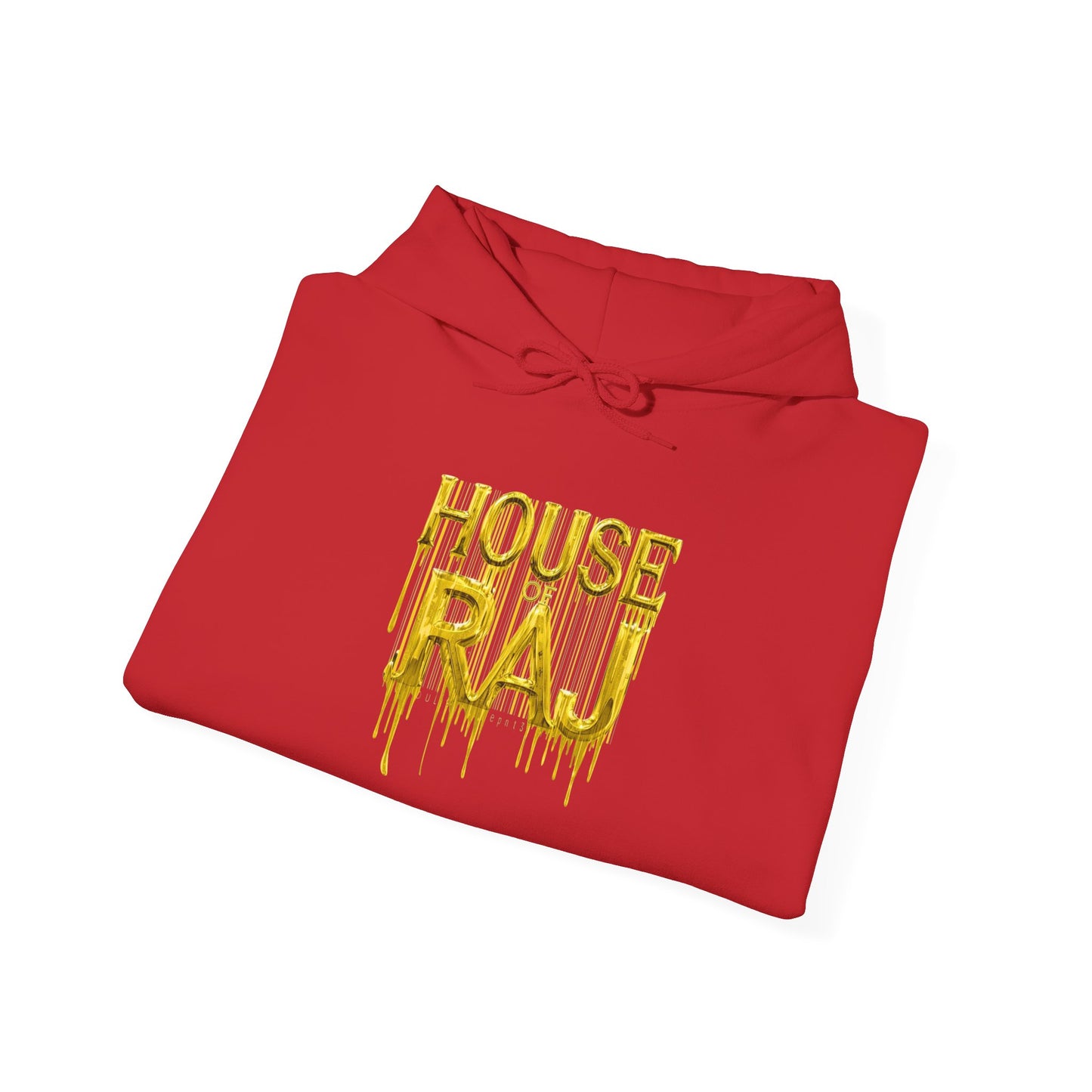 House of Raj – NYC Scans Different Hoodie Unisex, Streetwear, Casual Wear, Gift for Him & Her, Hoodie for Fall, Trendy Fashion